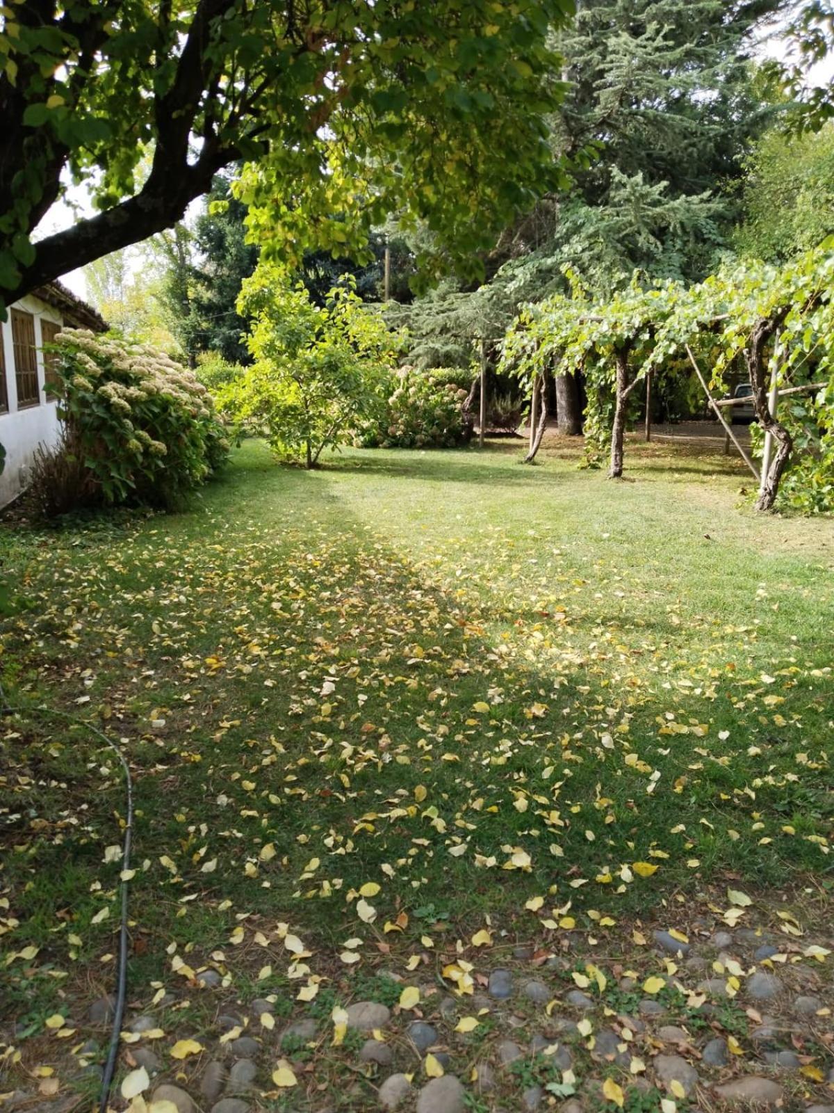 La Casa De Adobe Natural Y Mas Bulnes Exterior foto